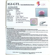 8.17 Ratti Natural New Burma Ruby with Govt. Lab Certificate-(3100)